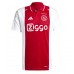 Ajax Brian Brobbey #9 Fußballbekleidung Heimtrikot 2024-25 Kurzarm